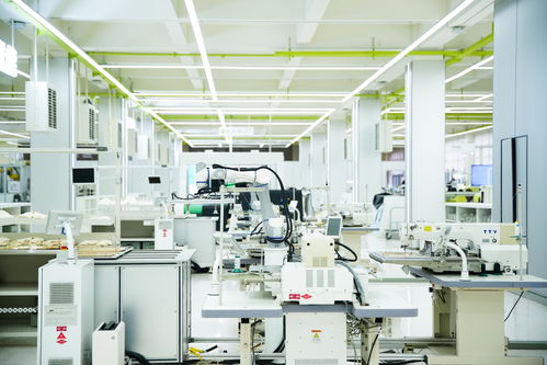 高質量發展看中國 民營企業煥新賦能，金融與技術咨詢共筑溫暖力量